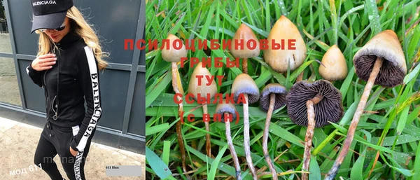 ешки Аркадак