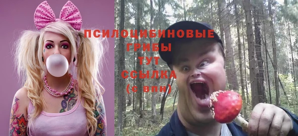 ешки Аркадак